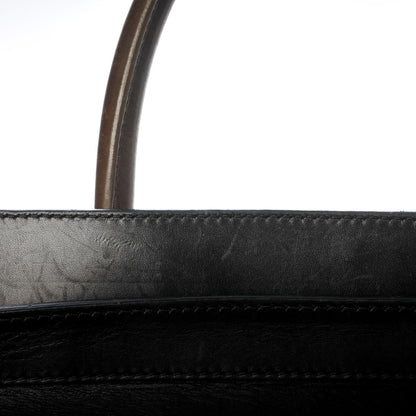 Celine Python Calfskin Mini Luggage Multicolor 8 of 11