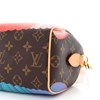 Louis Vuitton LV X YK Monogram Pumpkins Speedy Bandouliere 20 10 of 11
