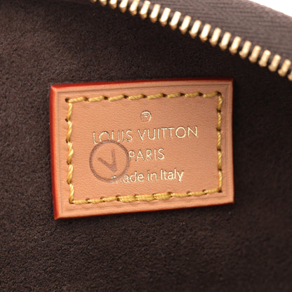 Louis Vuitton Monogram Mini Bumbag 6 of 10