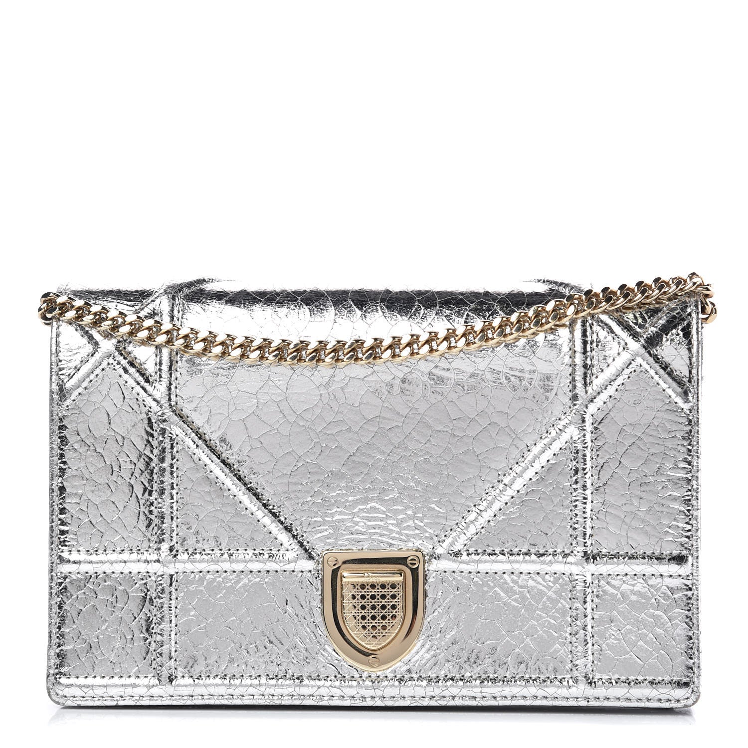 Christian Dior Metallic Ceramic Effect Deerskin Diorama Wallet on Chain Pouch Silver 1 of 8