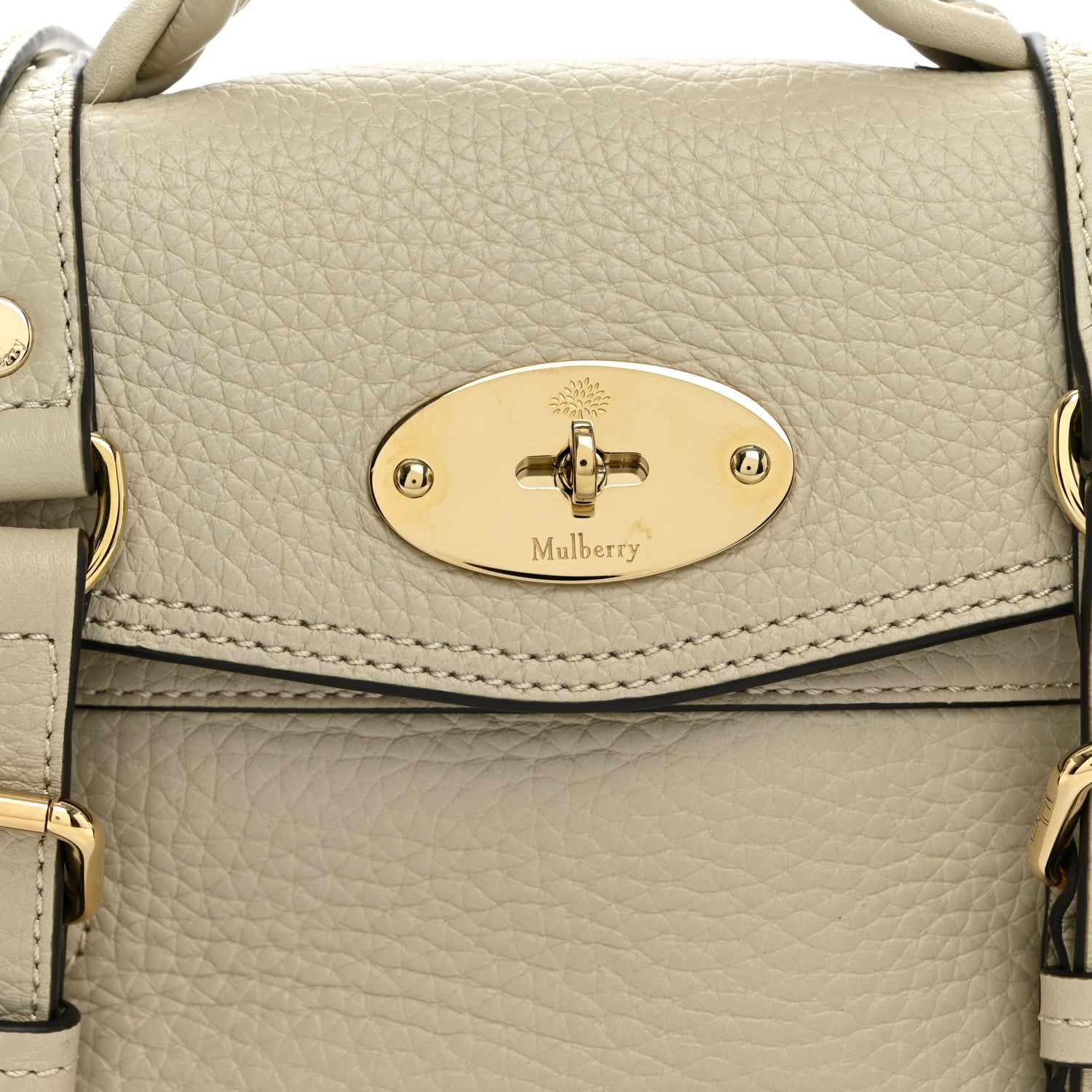 Mulberry Heavy Grain Mini Alexa Chalk 7 of 10