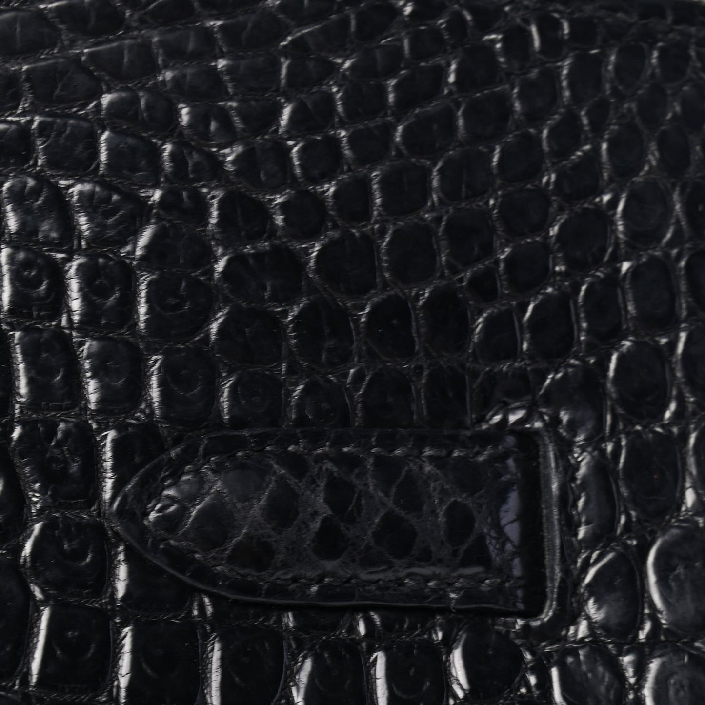 Matte Porosus Crocodile Birkin 35 Black