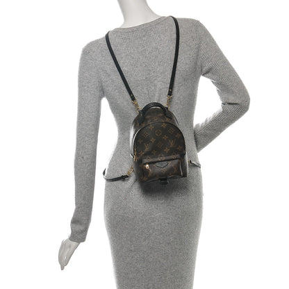 Louis Vuitton Monogram Palm Springs Backpack Mini 2 of 6
