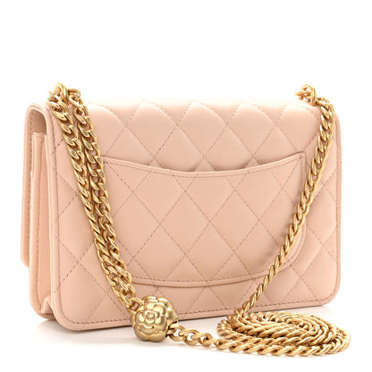 Chanel Lambskin Quilted Sweet Camellia Wallet on Chain WOC Light Beige 3 of 12