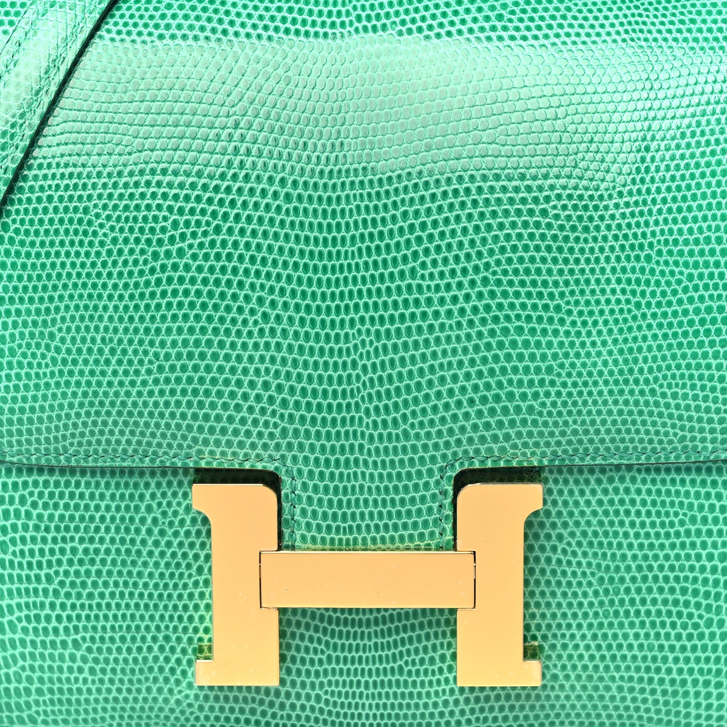 Hermes Lizard Constance 18 Menthe 8 of 11