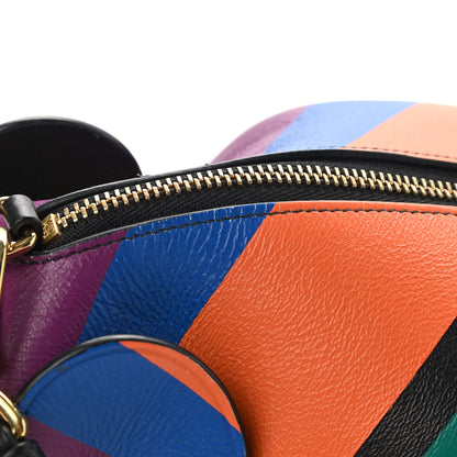 Loewe Calfskin Mini Striped Elephant Crossbody Bag Multicolor 9 of 11