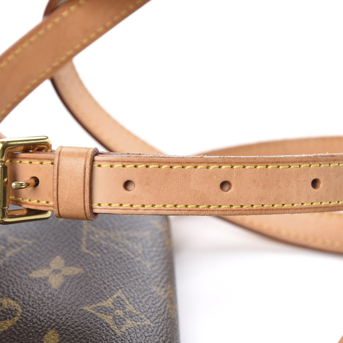 Monogram Musette Salsa
