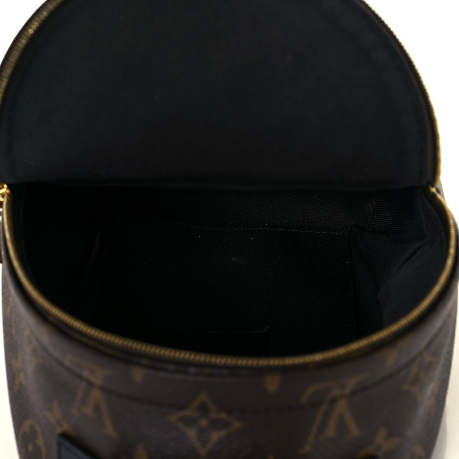 Louis Vuitton Monogram Palm Springs Backpack Mini 5 of 13