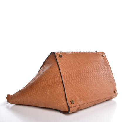 Celine Python Medium Phantom Luggage Light Copper 4 of 7