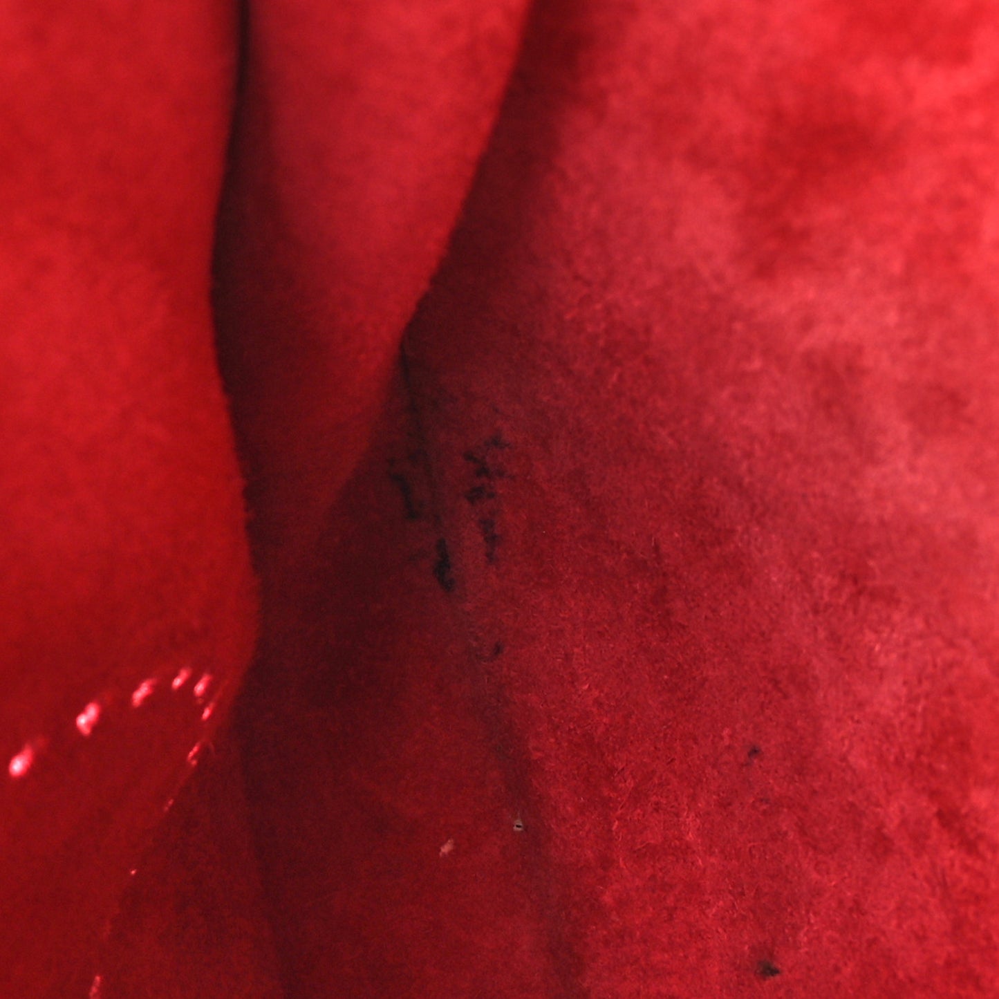 Taurillon Clemence Evelyne III PM Rose Extreme
