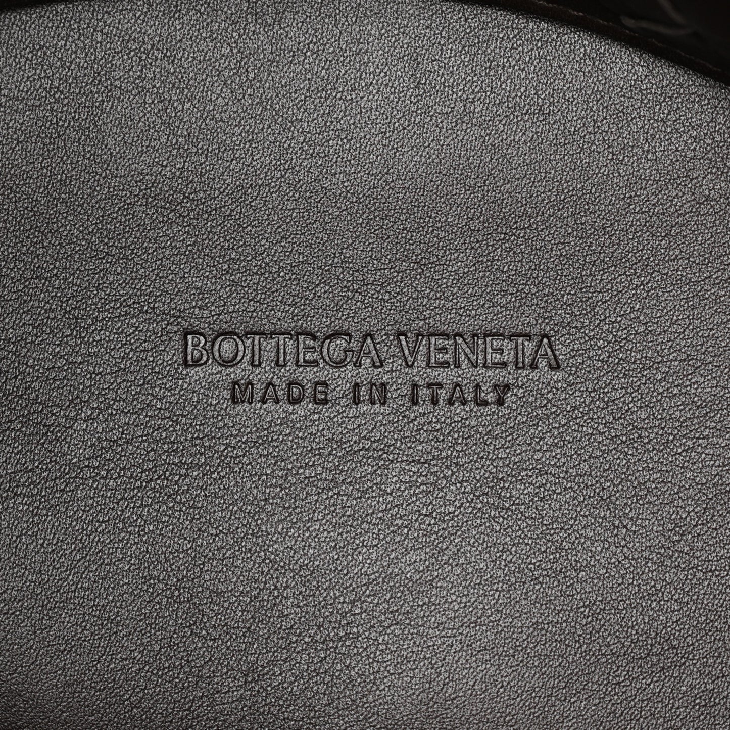 Silky Calfskin Medium Andiamo Shoulder Bag Fondant