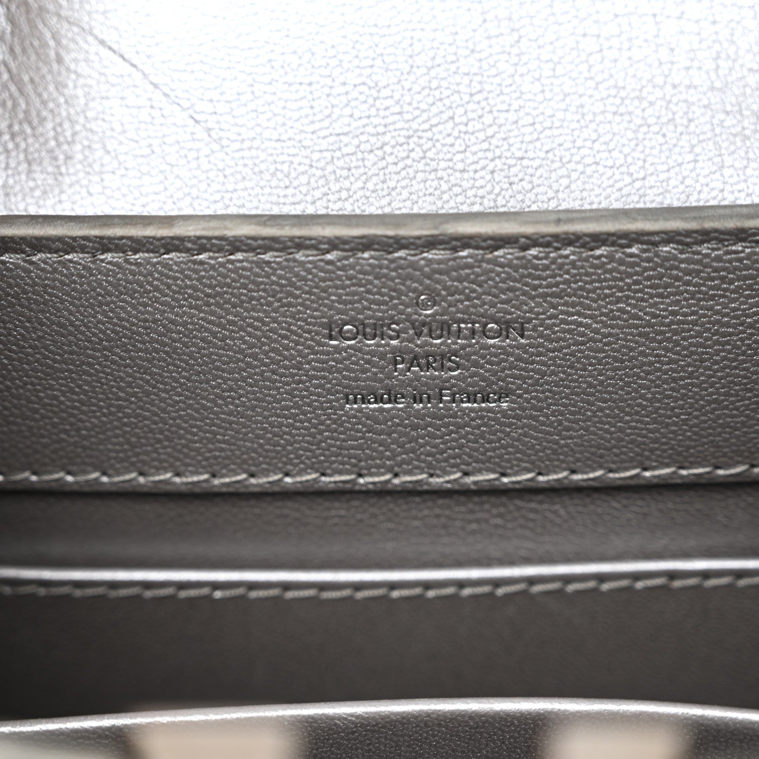 Louis Vuitton Lizard Mini Capucines Argento 6 of 10