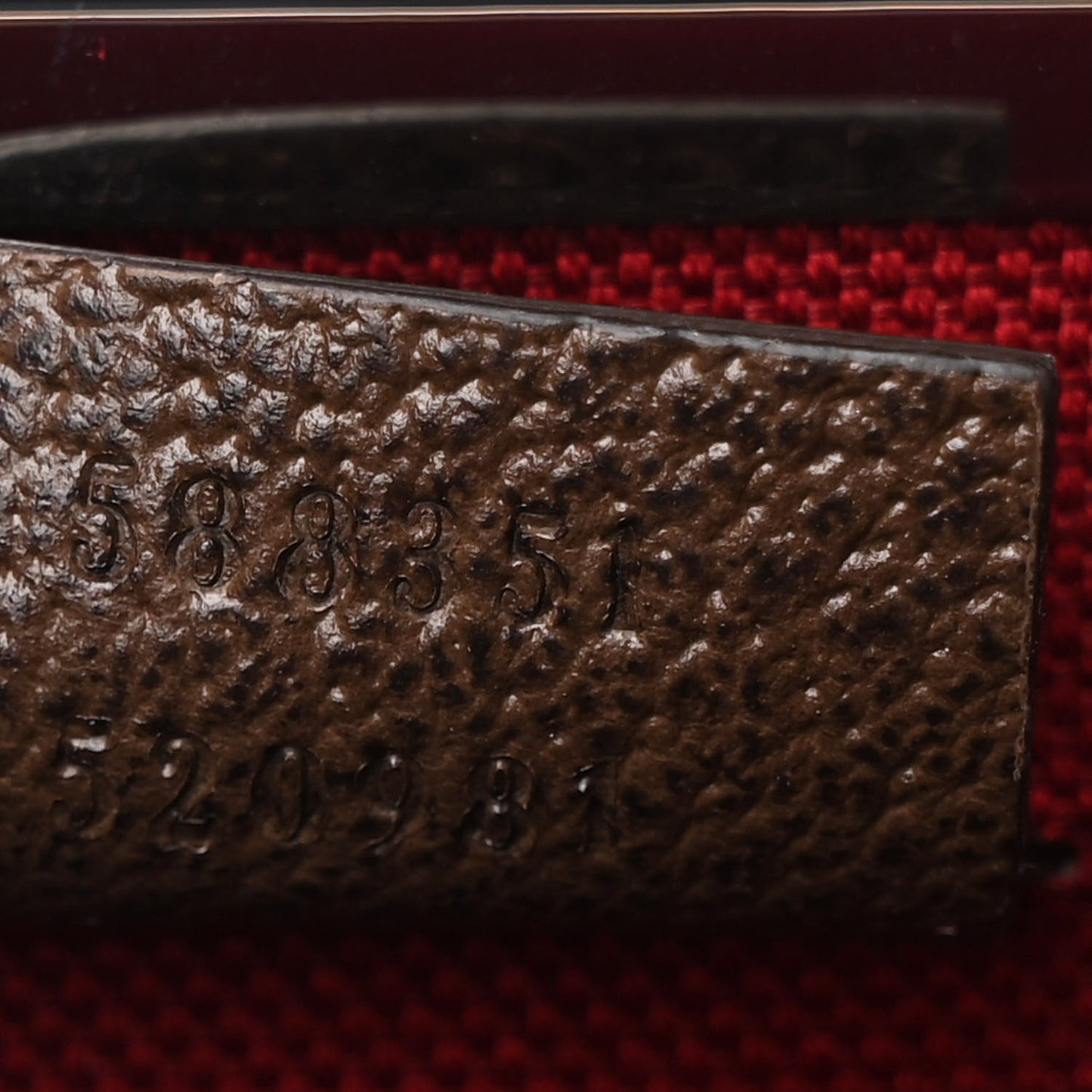GG Supreme Monogram Globe-Trotter Beauty Case Brown