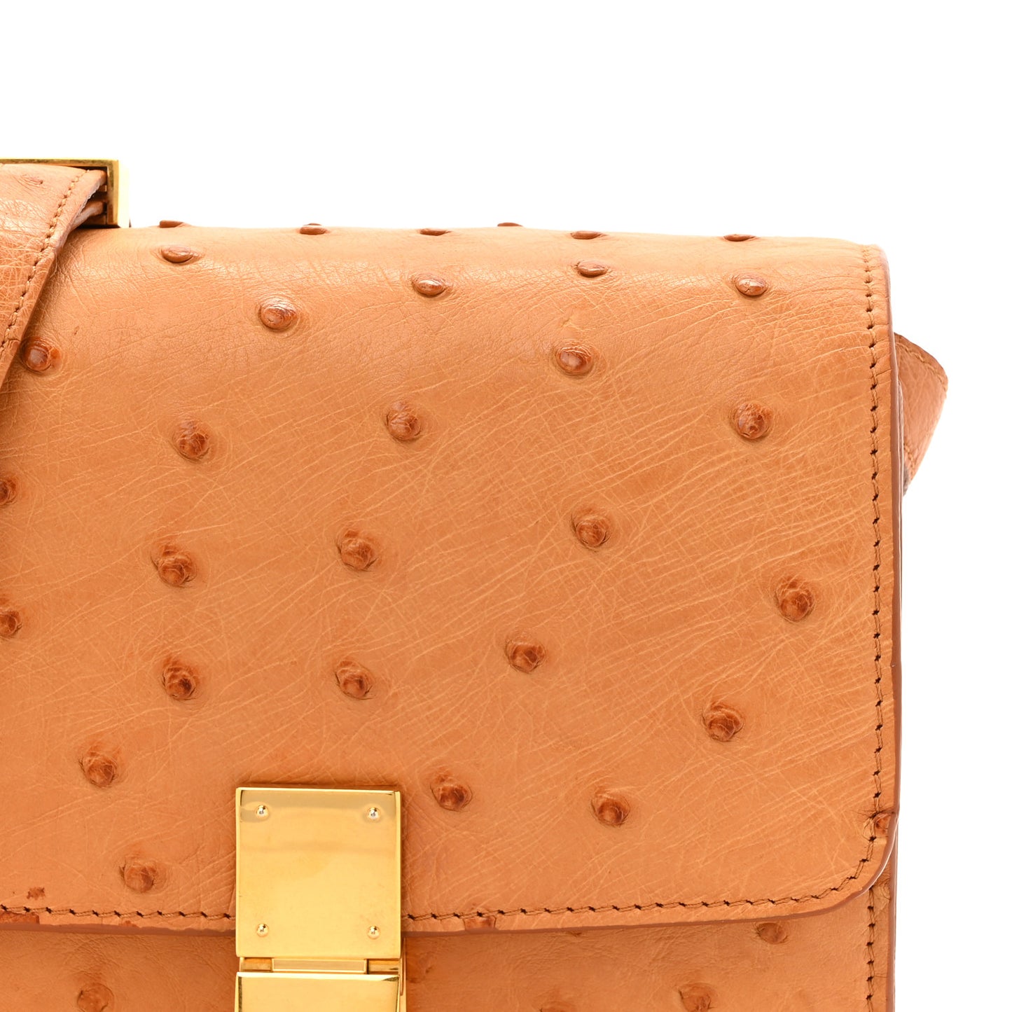 Ostrich Small Classic Box Flap Bag Camel