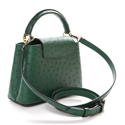 Louis Vuitton Ostrich Capucines Mini Mint 3 of 10