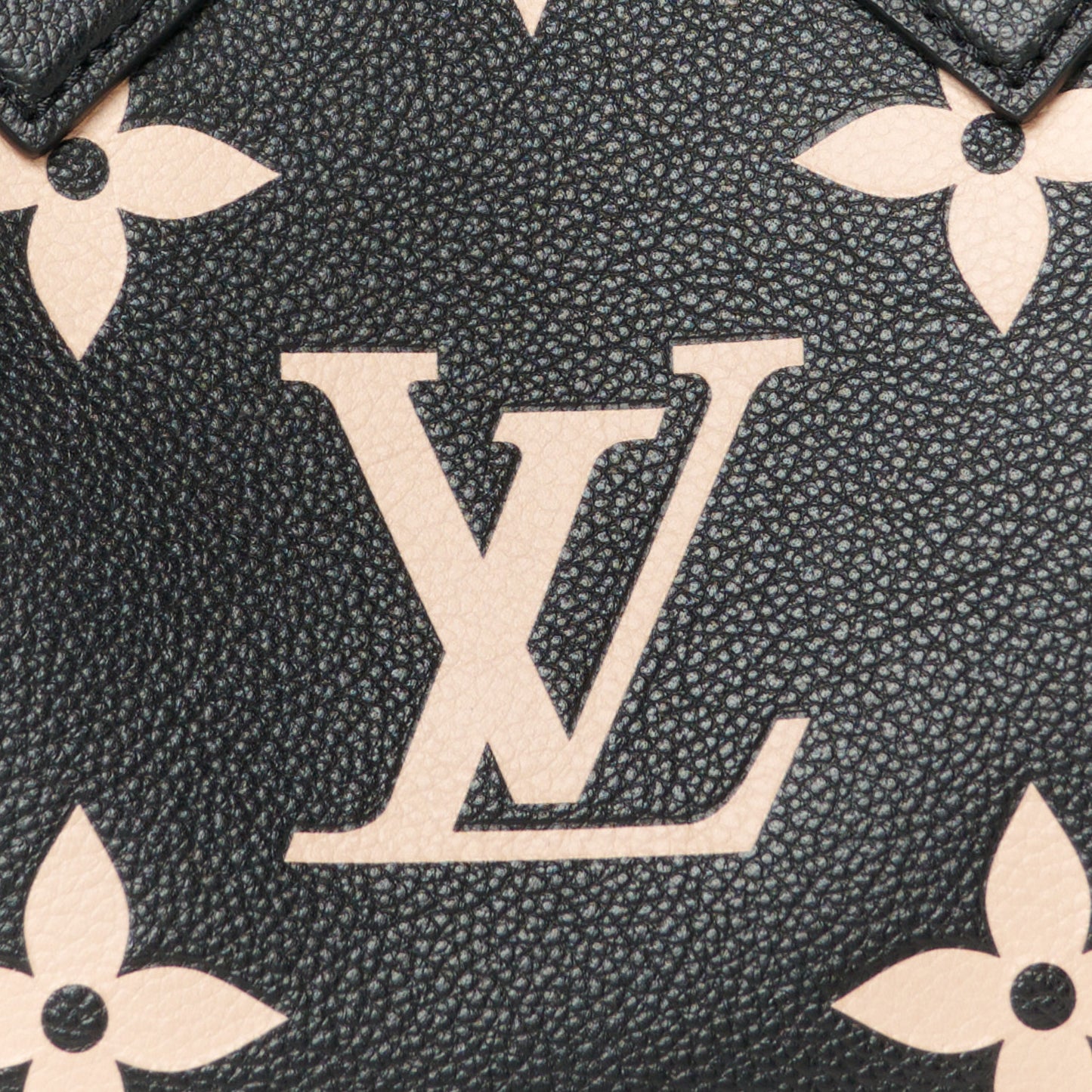 Empreinte Monogram Giant Speedy Bandouliere 25 Black Beige