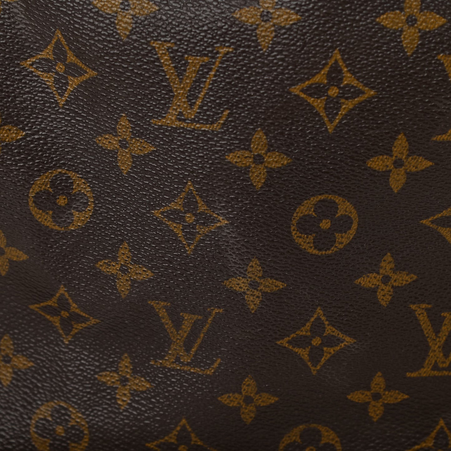 Monogram Petit Noe