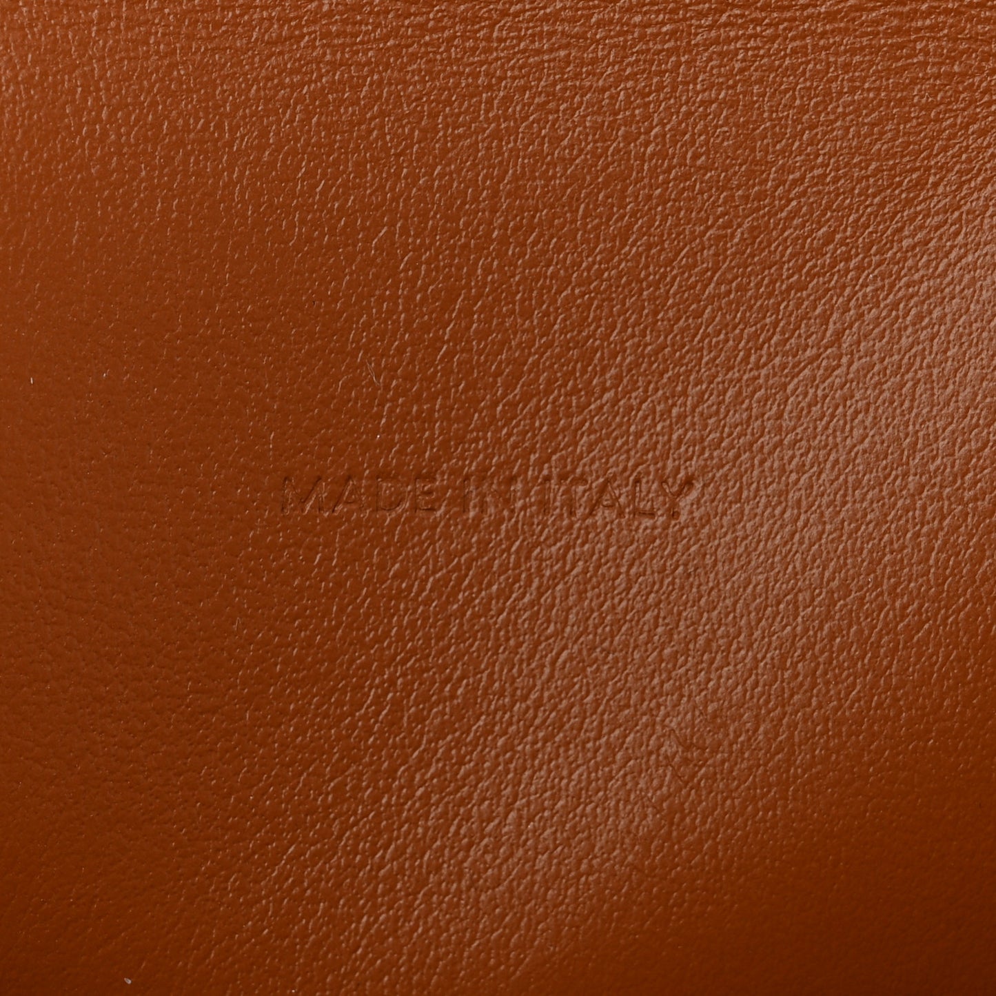 Triomphe Canvas Lambskin Wallet On Strap Tan