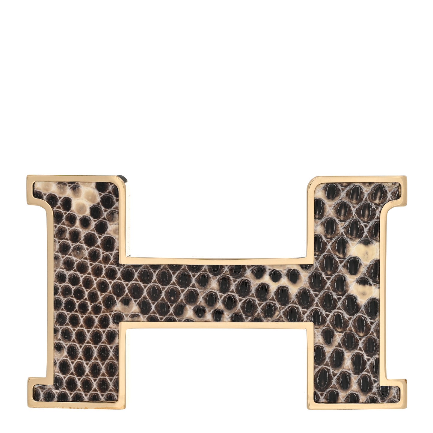 Lizard Constance 24mm Belt Buckle Ombre