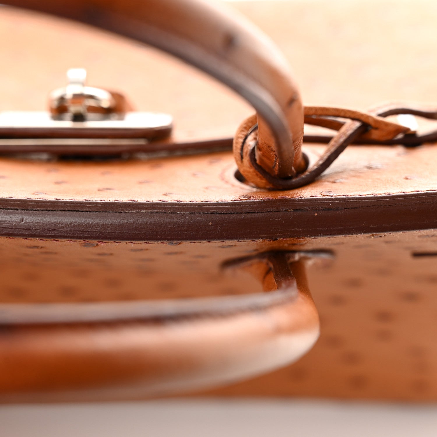 Hermes Ostrich Birkin 30 Gold 15 of 20