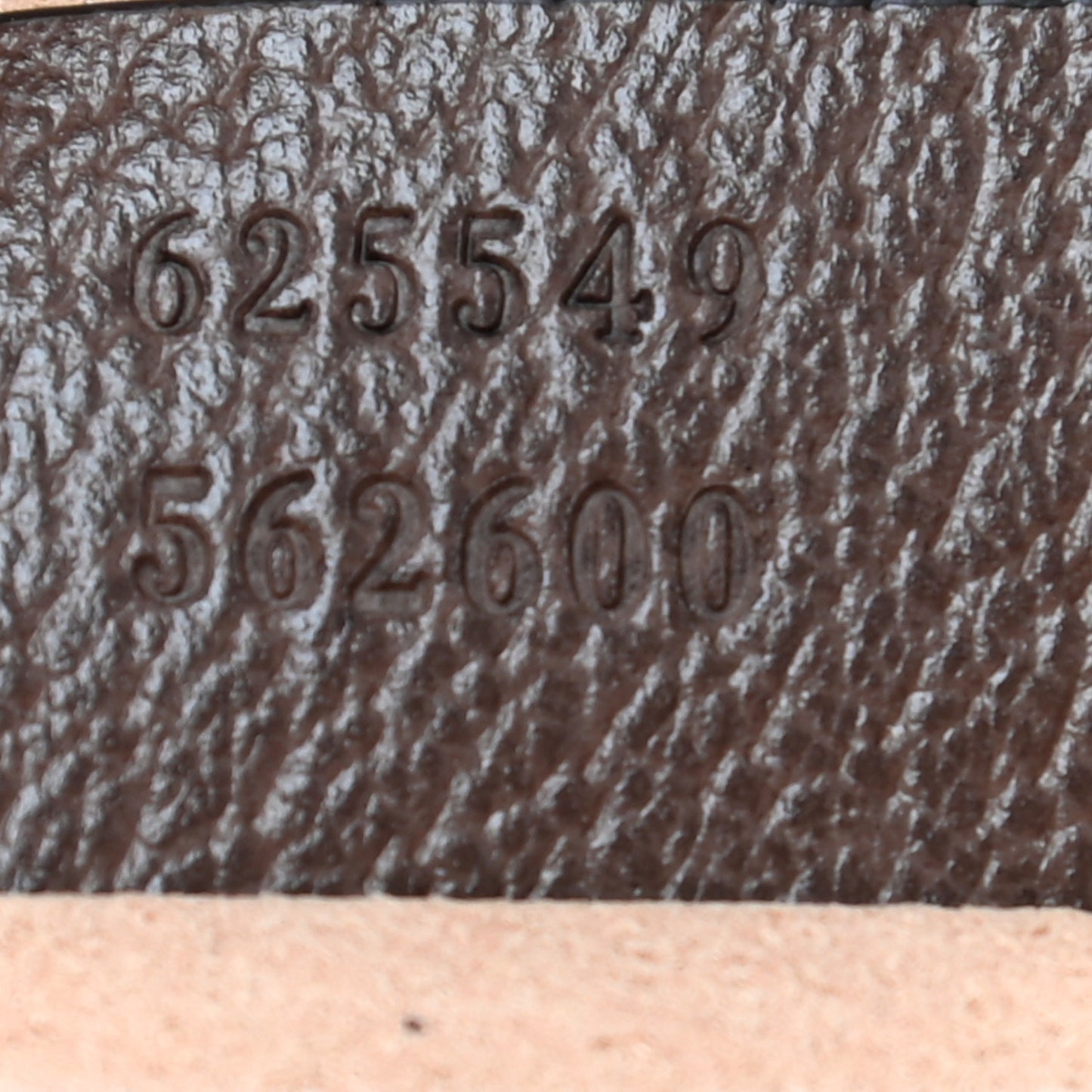 GG Supreme Monogram Web Ophidia Pouch Brown