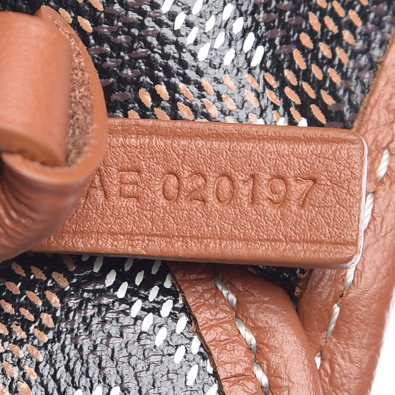 Goyard Goyardine Saint Louis PM Black Gold 10 of 10