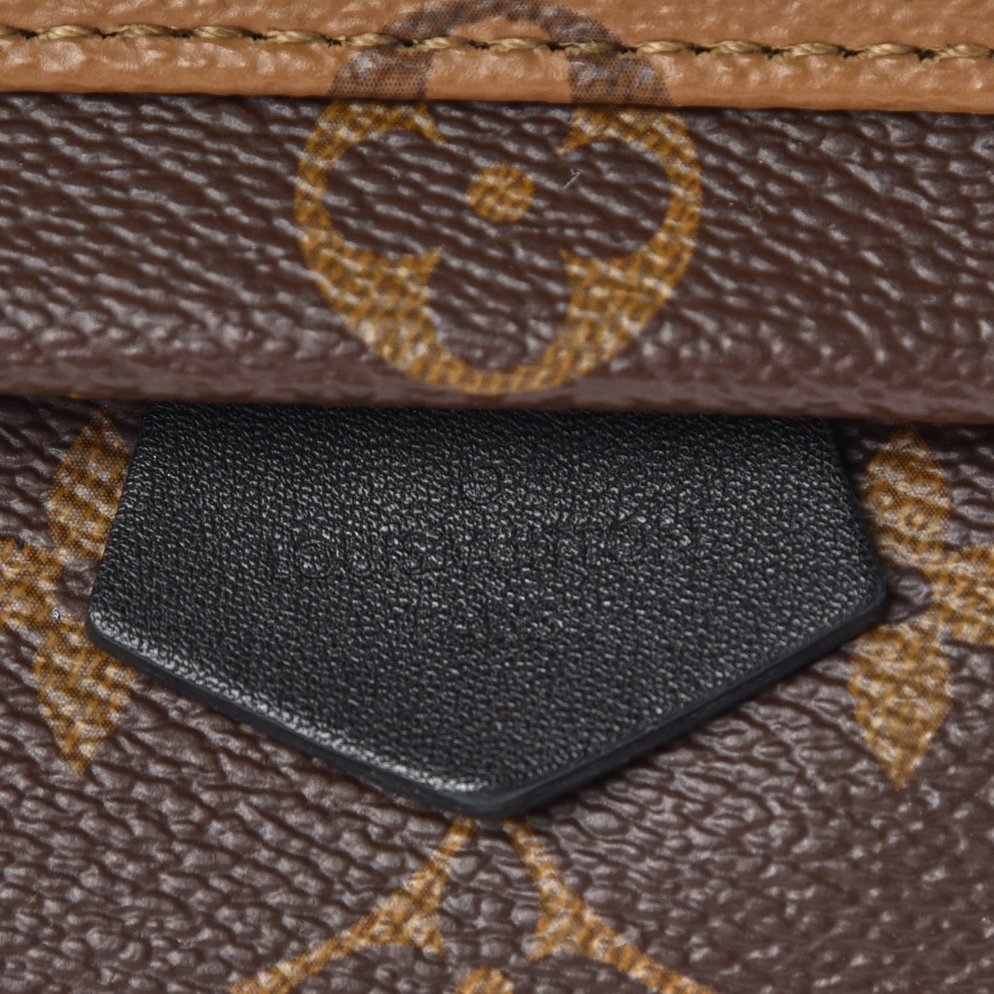 Reverse Monogram Palm Springs Backpack Mini
