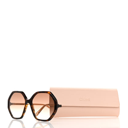 Chloe Octagonal Esther Sunglasses CH0008S Dark Havana 7 of 7