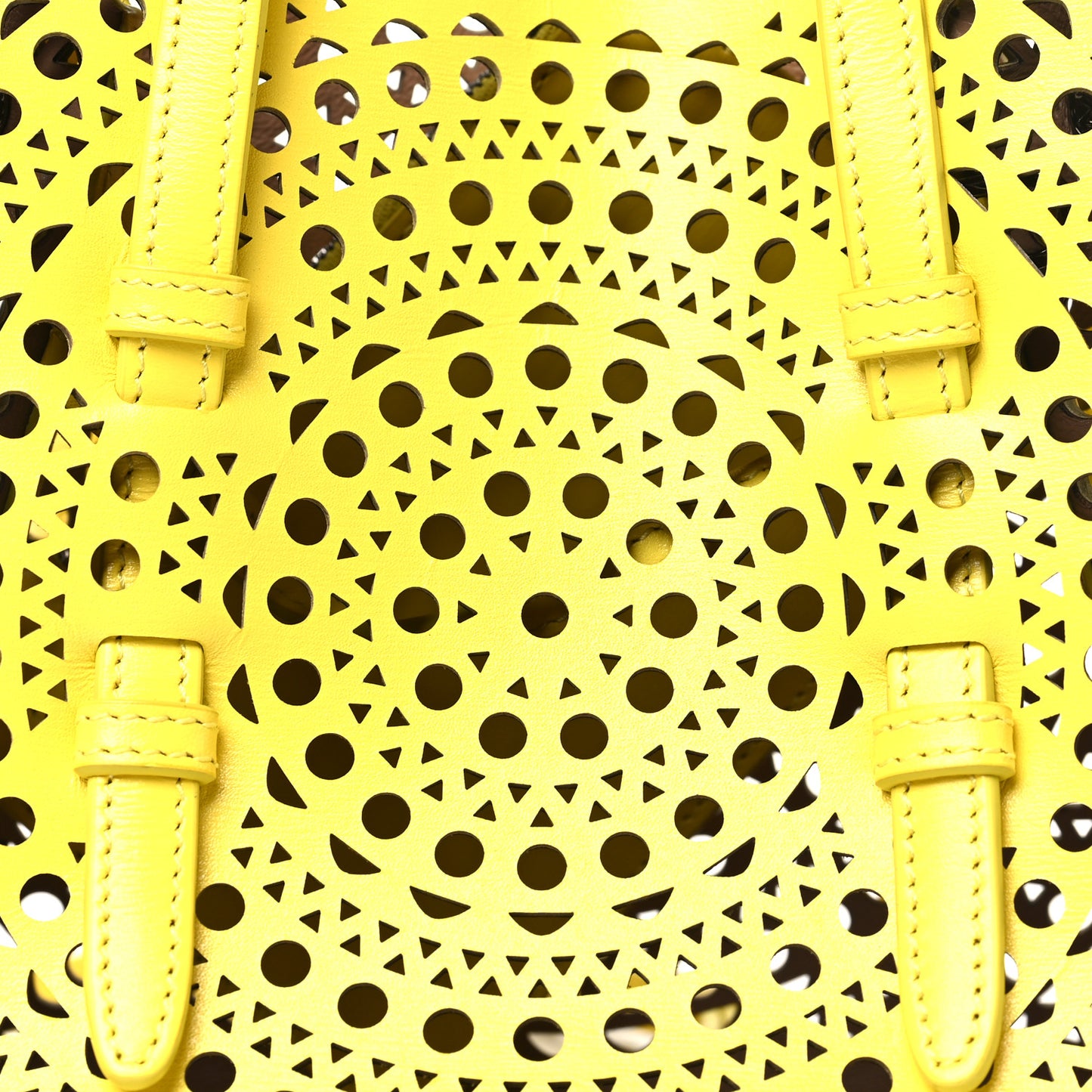 Calfskin Vienne Mina 20 Bag Citron