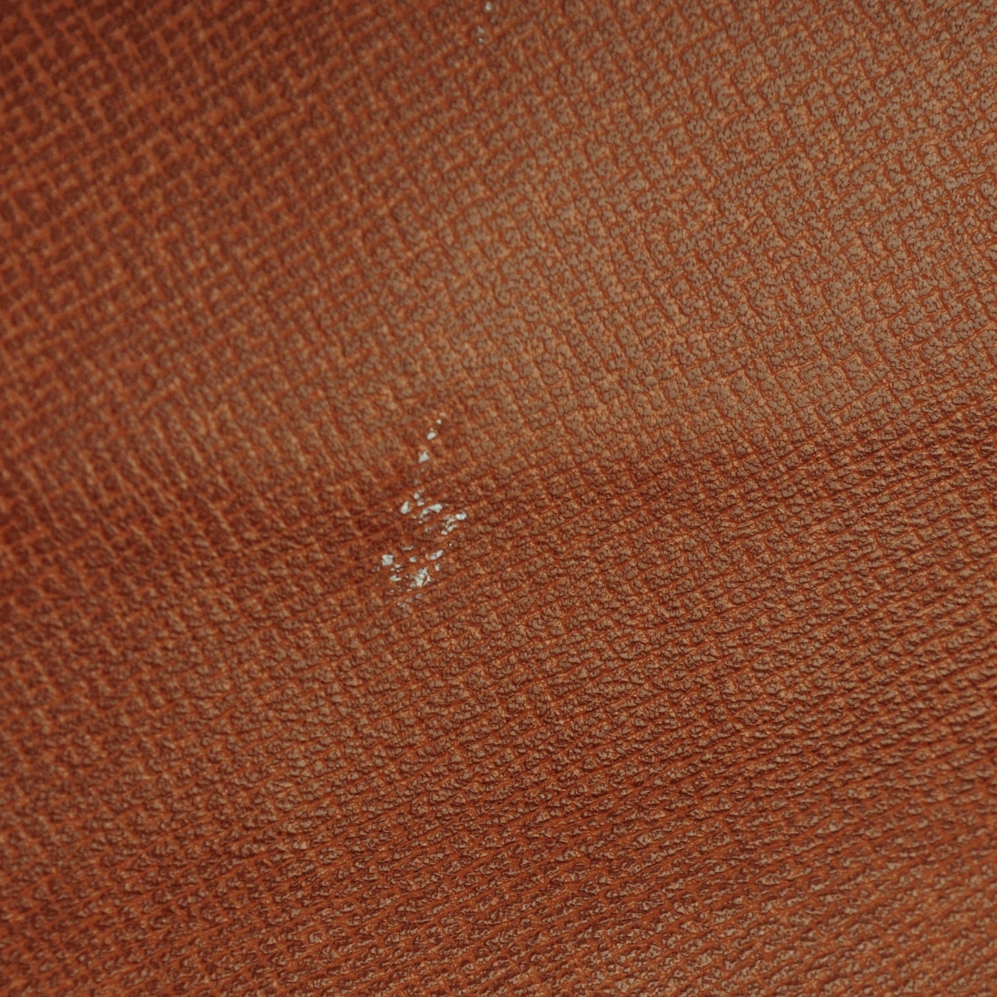 Monogram Pochette Dame 29