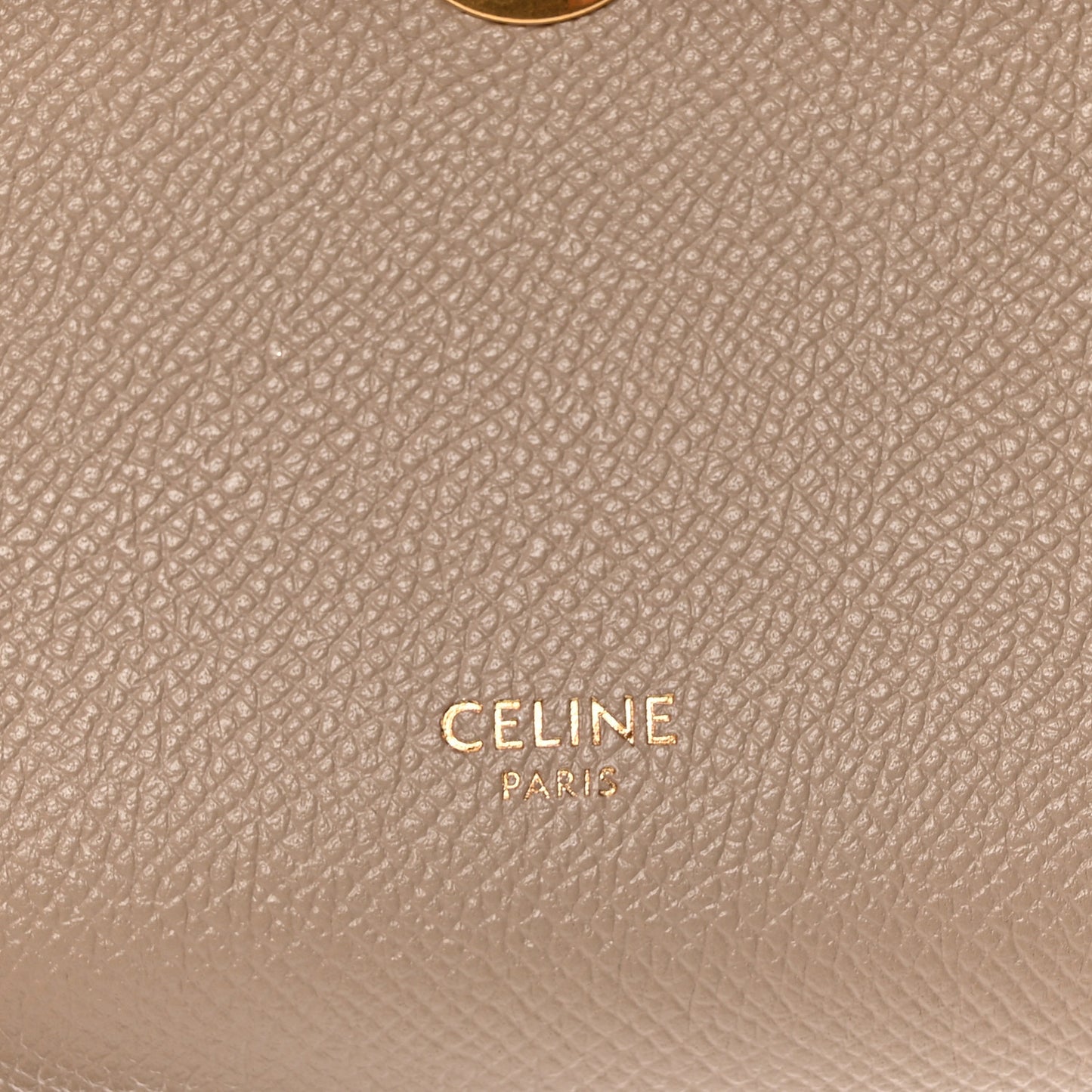 Grained Calfskin Pico Belt Bag Light Taupe