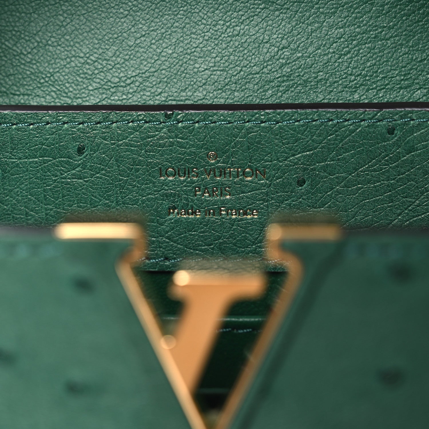 Nyx【美品】Louis Vuitton グリーンレザーブレ Louis Vuitton Ostrich Capucines Mini Mint 1838785 – FASHIONPHILE