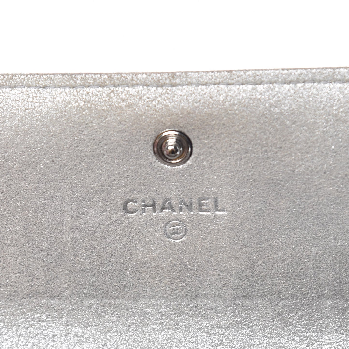 Iridescent Lizard Wallet With Removable Chain Silver
