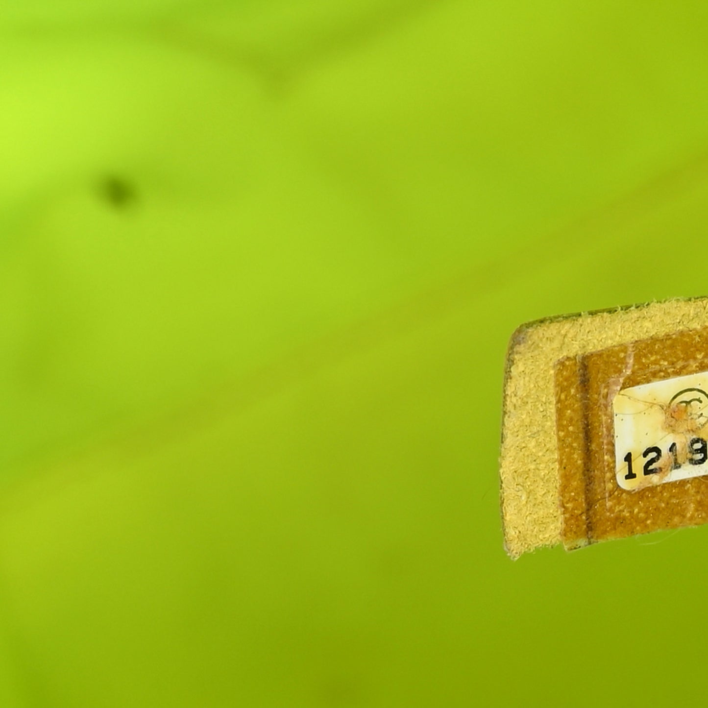 Patent Quilted Day Glo Flap Bag Black