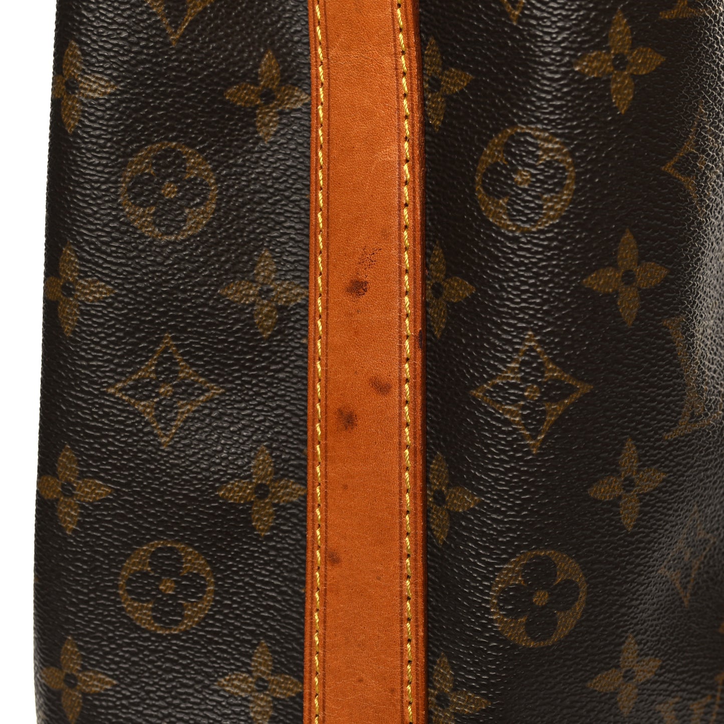 Monogram Randonnee GM Backpack