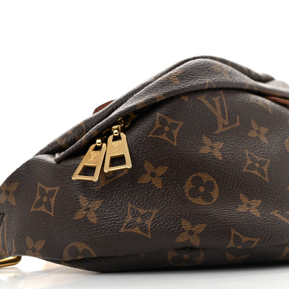 Louis Vuitton Monogram Bumbag 8 of 10