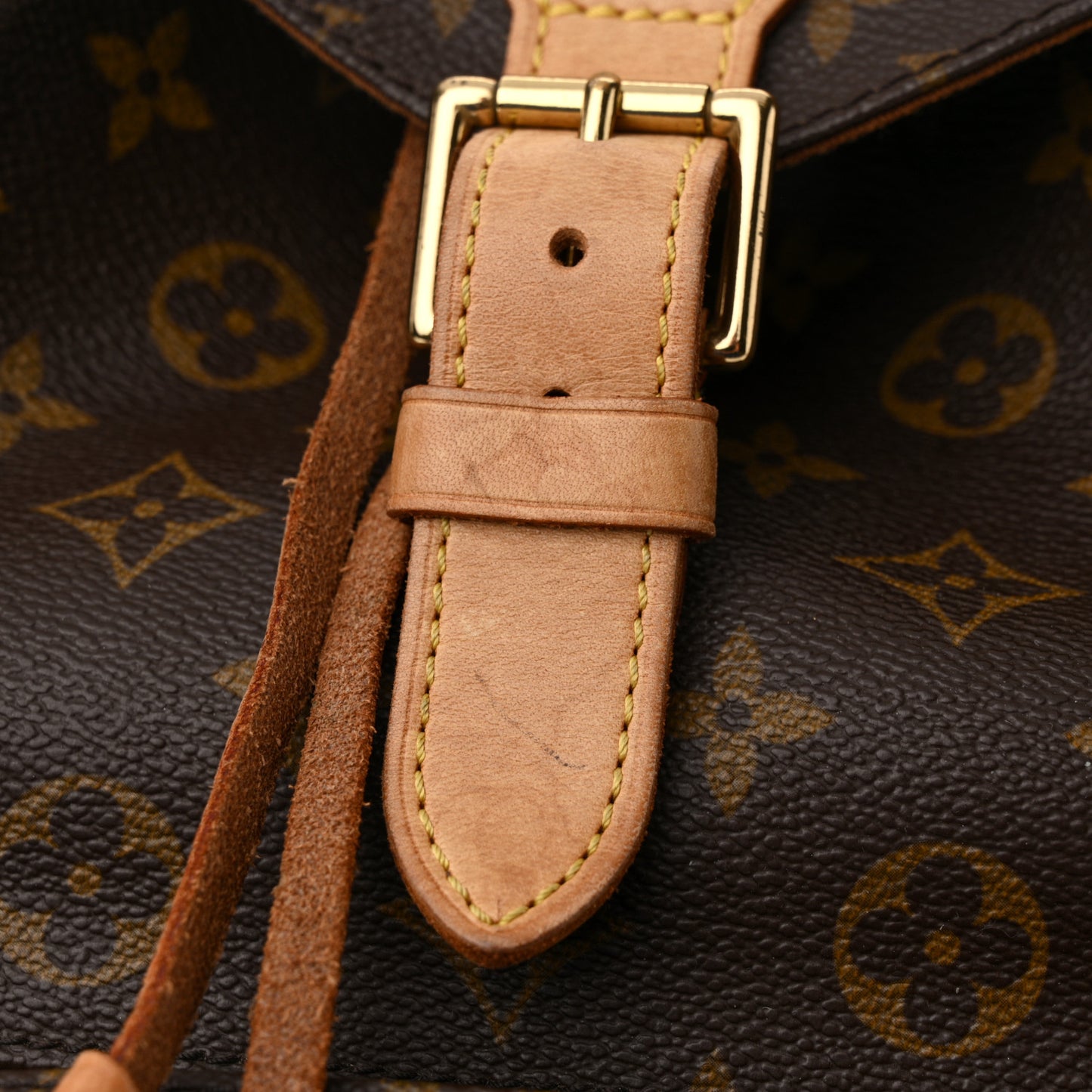 Monogram Montsouris GM Backpack