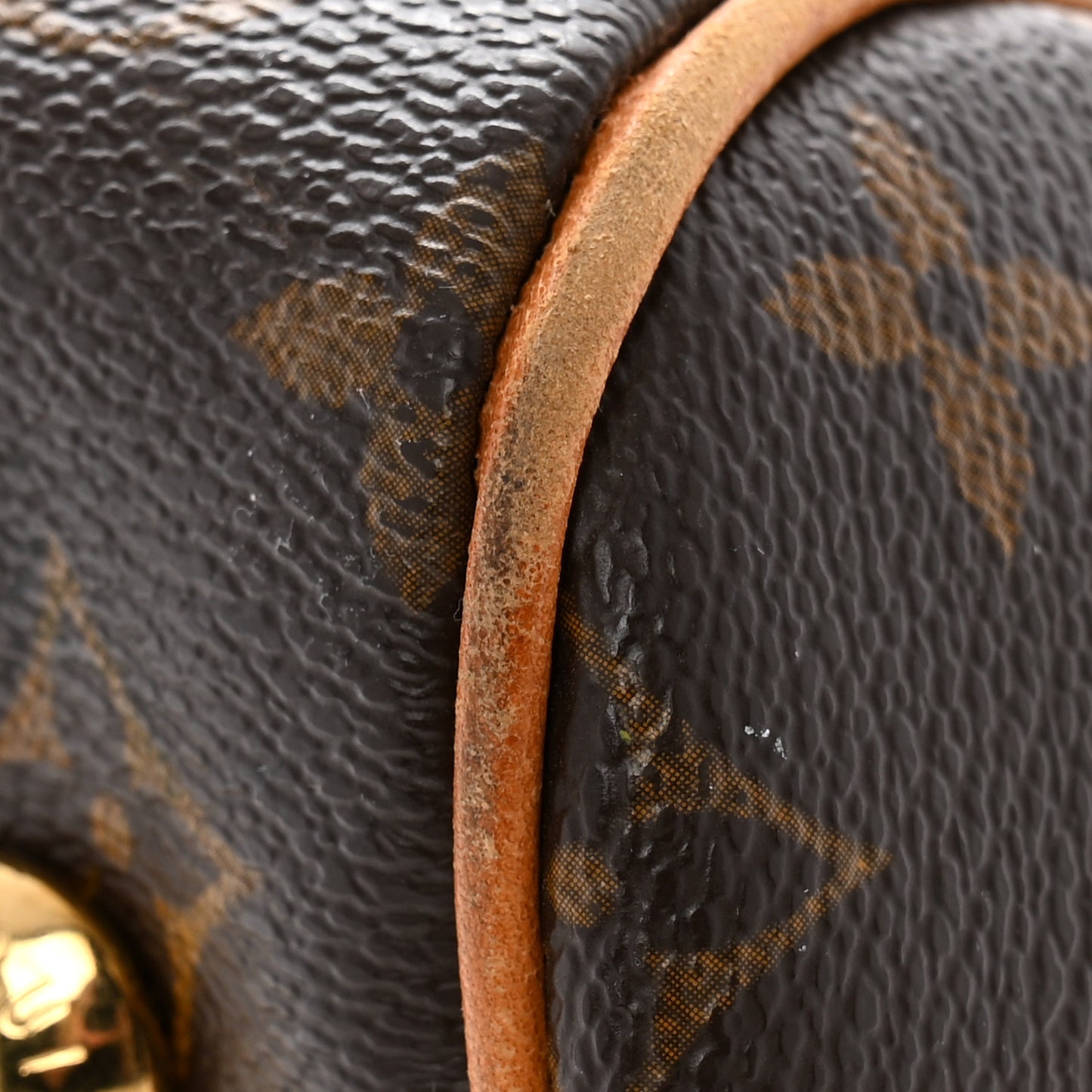 Monogram Tivoli PM