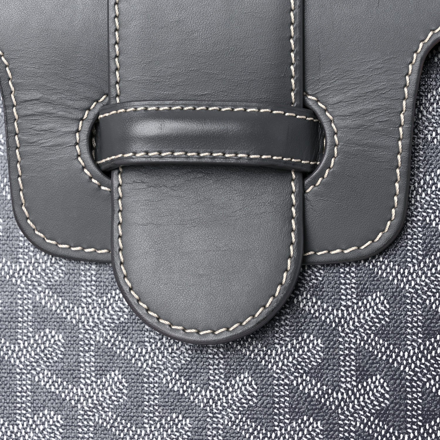 Goyard Goyardine Saigon PM Grey 13 of 16