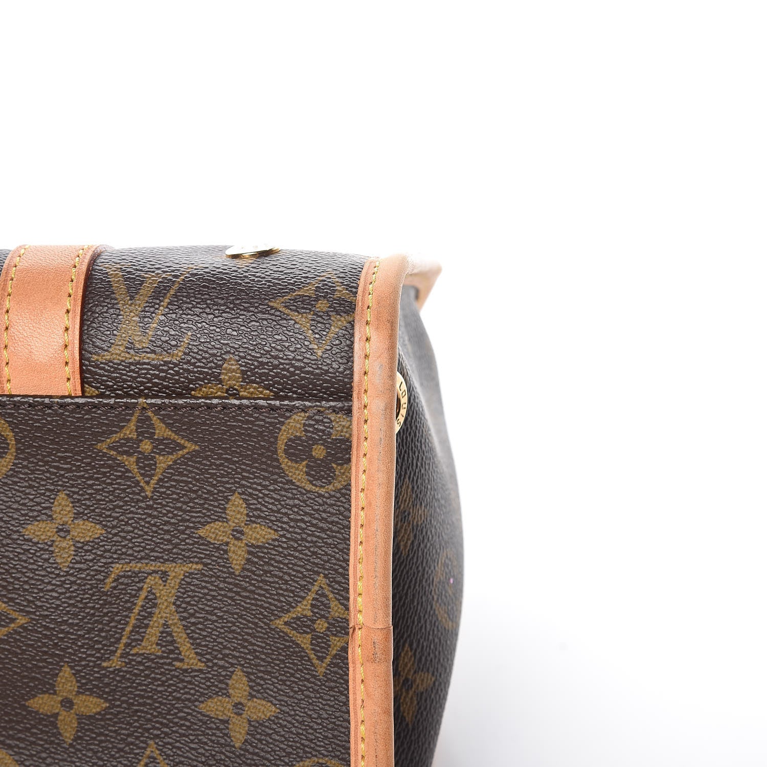 Louis Vuitton Monogram Baxter PM Dog Pet Carrier 10 of 12