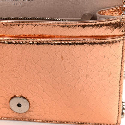 Christian Dior Metallic Ceramic Effect Deerskin Diorama Wallet on Chain Pouch Gold 13 of 15