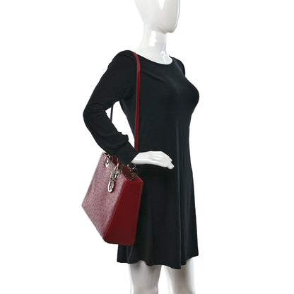 Christian Dior Ostrich Large Lady Dior Dark Brick 2 of 8