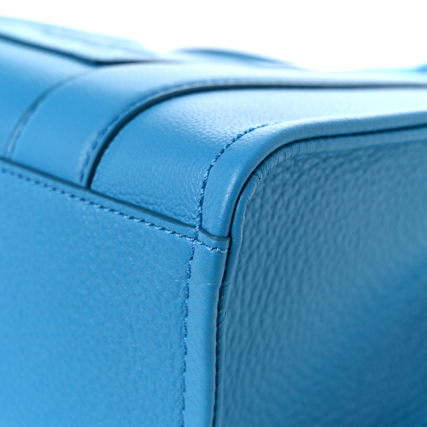 Grained Calfskin Small The Tote Bag Barrier Reef