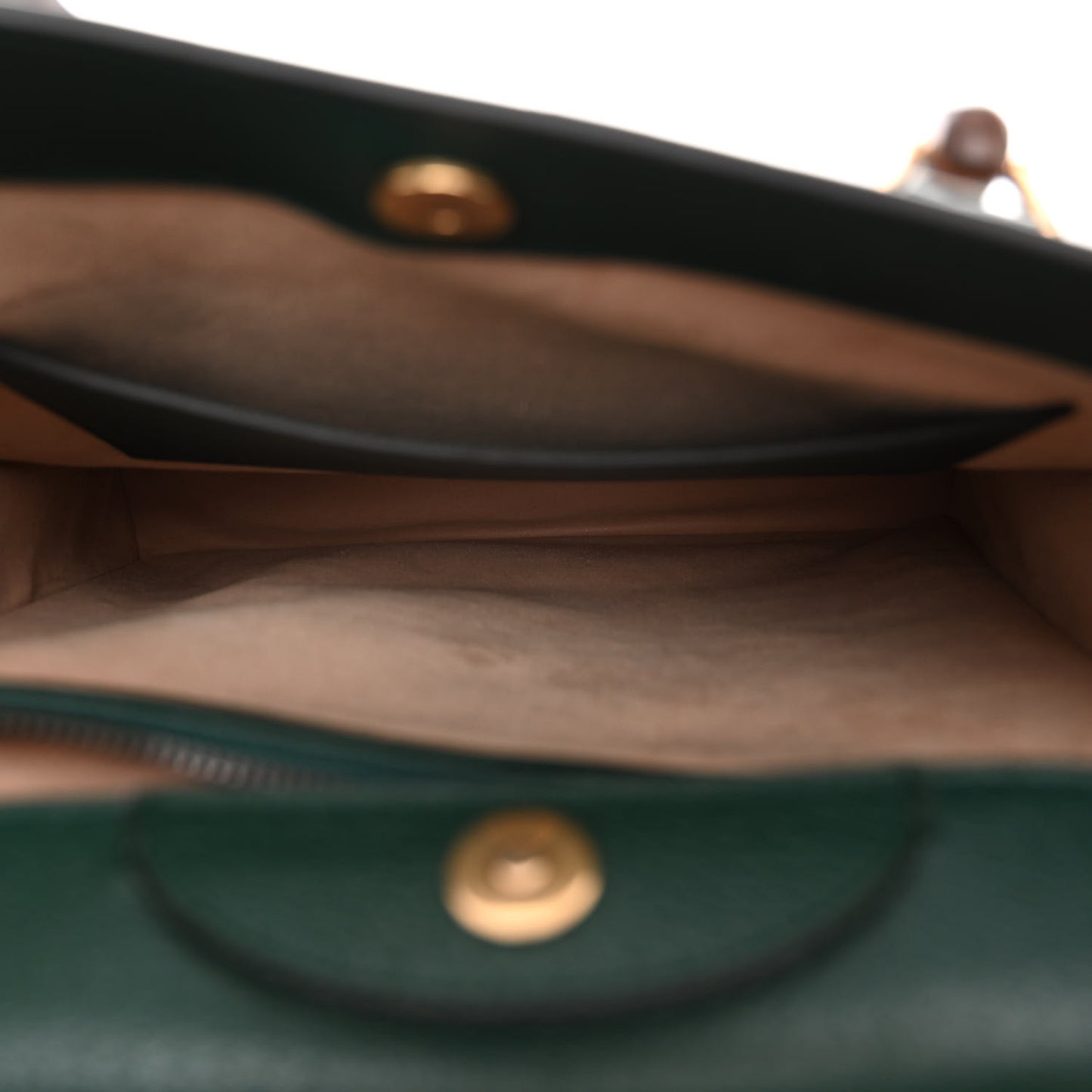 Textured Dollar Calfskin Web Large Diana Tote Bag Green Pink