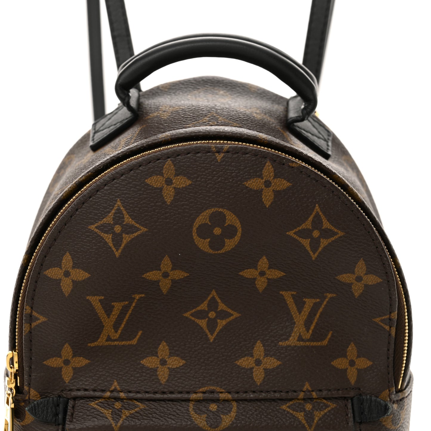 Monogram Palm Springs Backpack Mini