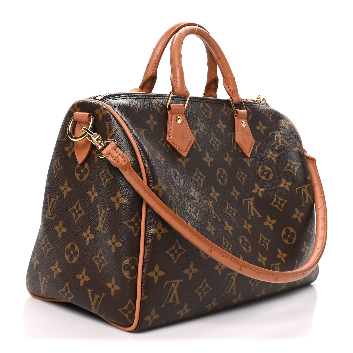 Monogram Speedy Soft 30 Boho