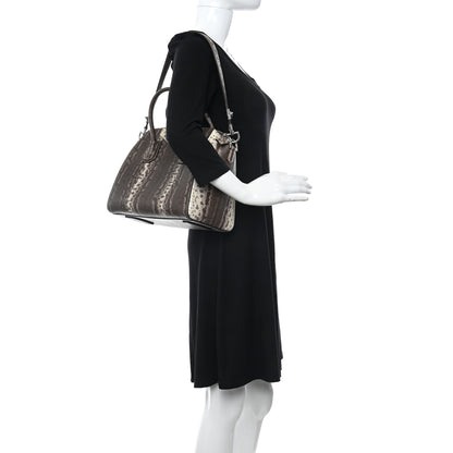 Givenchy Karung Snakeskin Small Antigona Beige 2 of 10