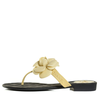 Chanel Jelly Quilted Camellia Thong Sandals 36 Black Beige 1 of 7