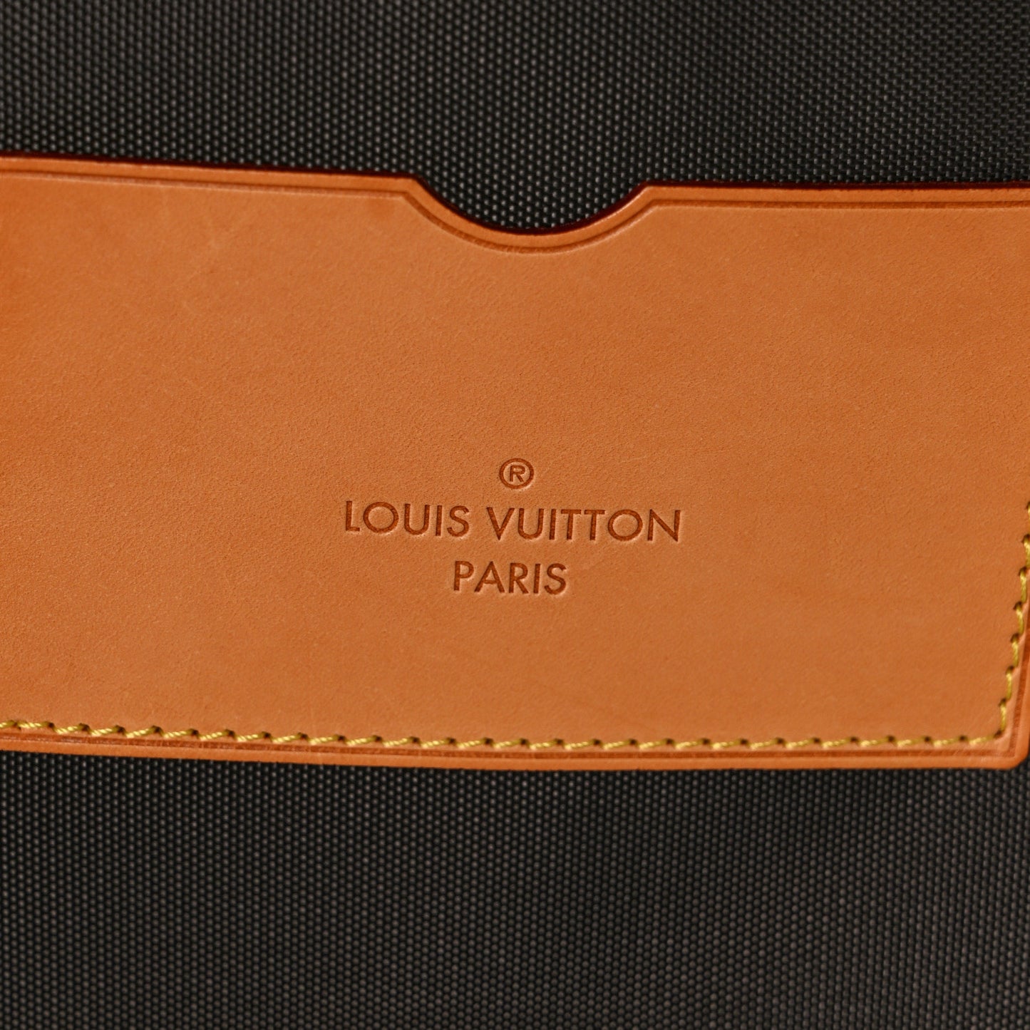 Monogram Pegase 55 Business