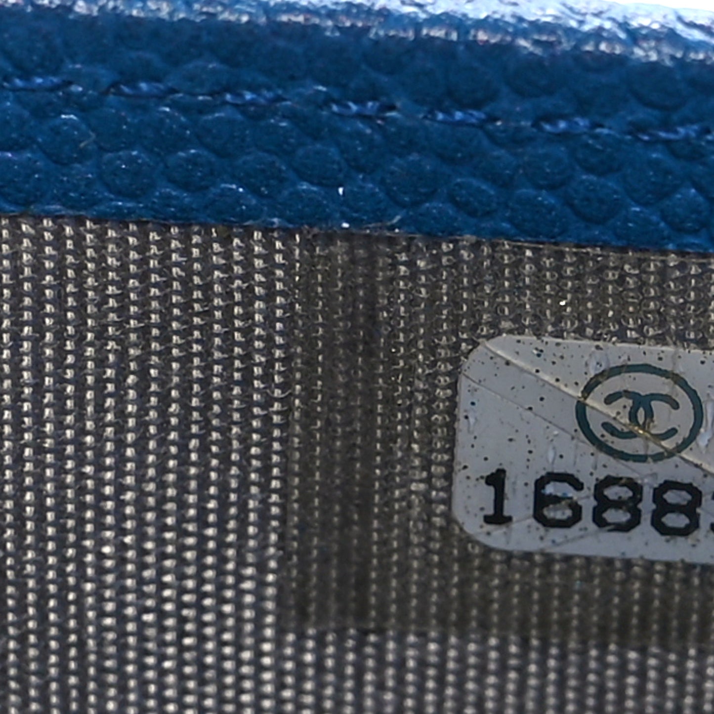 Caviar Sevruga Wallet on Chain WOC Blue